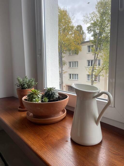 شقة Cozy, Bright, Comfy Studio Next To The Old Town. وارسو المظهر الخارجي الصورة